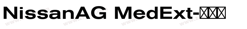 NissanAG MedExt字体转换